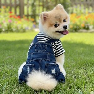 105# Cute Striped Hoodie Denim Overall ❣️
